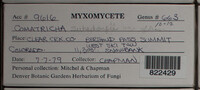 Image Associated With the Occurence